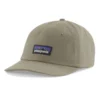 Patagonia P-6 Label Trad Cap Garden Green