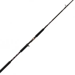 BFT Buster Stiff 6' -150g 2pcs Casting